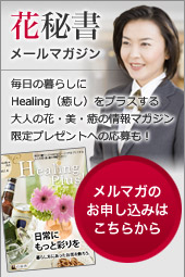 �Ԕ鏑���[���}�K�W���w��