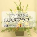 ���a�����̂��j���ɑ��邨�ԁi���}���t�����[�j�i�ԑ��E�A�����W�����g�j 21,000�~