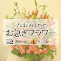 ���a�����̂��j���ɑ��邨�ԁi���}���t�����[�j�i�ԑ��E�A�����W�����g�j 31,500�~