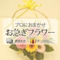 ���a�����̂��j���ɑ��邨�ԁi���}���t�����[�j�i�ԑ��E�A�����W�����g�j 3,675�~