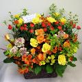 ��� �u�Ď��v�̂��j�� ���F�̂��ԃ��C���̃t�����[�A�����W�����g 31,500�~
