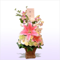 ������� �������̉� ���� �i�s���N�̃��������C���ɂ��Ĕ��n�ł܂Ƃ߂��o�X�P�b�g�A�����W�j