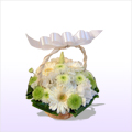 ������� �������̉� ���� �i�z���C�g���O���[������ɂ�����t���o�X�P�b�g�A�����W�j