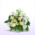 ������� �������̉� ���� �i���o���ƋG�߂̂��Ԃ̃o�X�P�b�g�A�����W�j