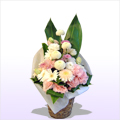 ������� �������̉� ���� �i�W���s���N�n�̂��Ԃł܂Ƃ߂��o�X�P�b�g�A�����W�j
