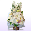 ������� �������̉� ���� �i�����������C���Ƀz���C�g���s���N�ł܂Ƃ߂��o�X�P�b�g�A�����W�j