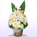 ������� �������̉� ���� �i���������ƃK�[�x�������C���Ƀz���C�g���O���[���ł܂Ƃ߂��o�X�P�b�g�A�����W�j