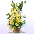 ������� �������̉� ���� �i�����������C���Ƀz���C�g�n�ł܂Ƃ߂��o�X�P�b�g�A�����W�j