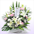 ������� �������̉� ���� �i���������C���ɔ����s���N�ł܂Ƃ߂��o�X�P�b�g�A�����W�j