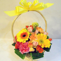 �t�����[�A�����W�����g[0304]