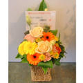 �t�����[�A�����W�����g[0401]