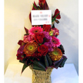 �t�����[�A�����W�����g[0404]