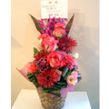 �t�����[�A�����W�����g[0501]