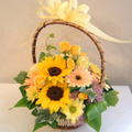 �t�����[�A�����W�����g[0502]