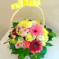 �t�����[�A�����W�����g[0505]