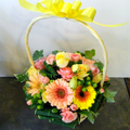 �t�����[�A�����W�����g[0506]