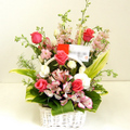 �t�����[�A�����W�����g[0511]