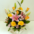 �t�����[�A�����W�����g[0602]