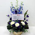 �t�����[�A�����W�����g[0604]