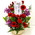 �t�����[�A�����W�����g[0606]