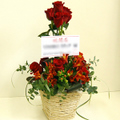 �t�����[�A�����W�����g[0809]