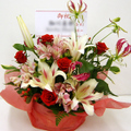 �t�����[�A�����W�����g[1005]
