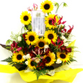 �t�����[�A�����W�����g[1006]