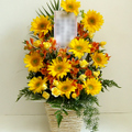 �t�����[�A�����W�����g[1014]