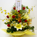 �t�����[�A�����W�����g[1201]