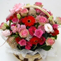 �t�����[�A�����W�����g[1202]