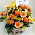 �t�����[�A�����W�����g[1204]