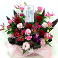 �t�����[�A�����W�����g[1504]