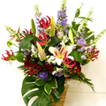 �t�����[�A�����W�����g[1507]