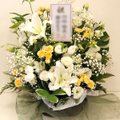 �t�����[�A�����W�����g[1508]