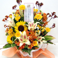 �t�����[�A�����W�����g[1510]
