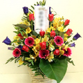 �t�����[�A�����W�����g[1515]