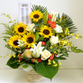 �t�����[�A�����W�����g[1519]