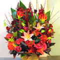 �t�����[�A�����W�����g[3003]