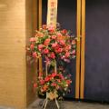 [23����ꕔ�n�����]�X�^���h�ԁi2�i�j