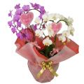 �n�[�g�^�̃~�f�B�Ӓ����i�g���񂹔��j