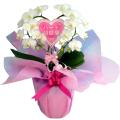 �n�[�g�^�̃~�f�B�Ӓ����i���j