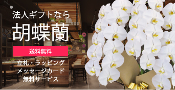 法人ギフトなら胡蝶蘭