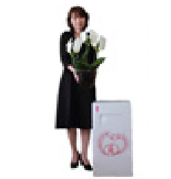 サイズで選ぶ胡蝶蘭