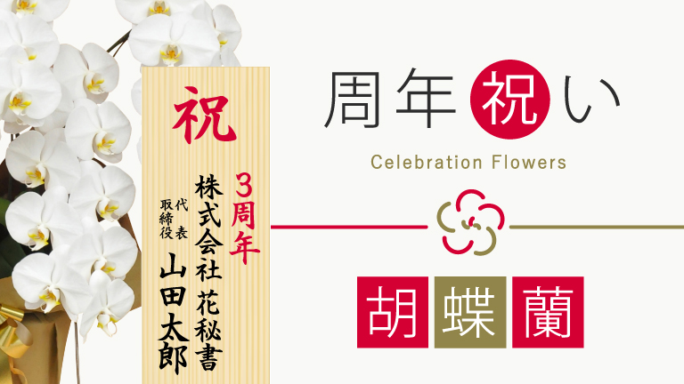 胡蝶蘭周年祝い