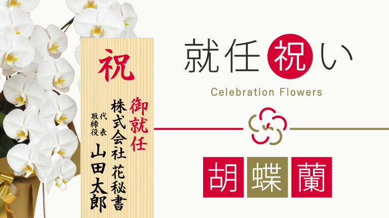 胡蝶蘭就任祝い