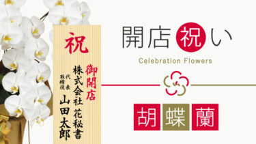 開店祝いの胡蝶蘭｜相場・選び方・立札マナーを法人向けに完全解説