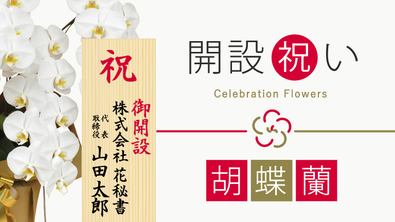 胡蝶蘭開設祝い