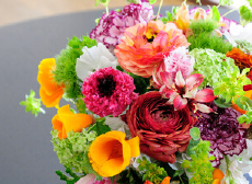 アレンジメント