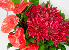 デザイナーズアレンジ