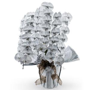 お祝いに贈るカラー胡蝶蘭グランシルバー(3本)